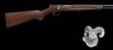 Remington - 34 - .22 S, L, LR caliber - 2 of 4