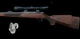 Sako - Mannlicher - .243 Win - 4 of 4
