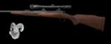 Winchester - 70 Pre 64 - .375 H&H Mag caliber - 4 of 4