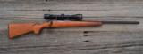 Remington - Sportsman 78 - .223 Rem caliber
- 1 of 2