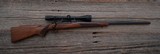 Winchester - 70 Varmint - .243 Win caliber - 1 of 2