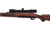 WINCHESTER 70 SUPER EXP 416REM - 6 of 8