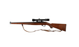 RUGER 10/22 MANNLICHER 22 LR-176749 - 4 of 10