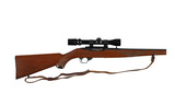 RUGER 10/22 MANNLICHER 22 LR-176749 - 9 of 10