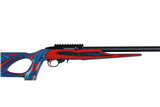 RUGER 10/22 .22LR CALIBER - 2 of 9