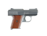 RAVEN ARMS P-25 25 ACP