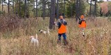 Introduction to Quail Hunting - 1 of 1