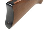 RUGER 10/22 22 LR - 10 of 10