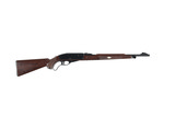 REMINGTON NYLON 76 22 LR