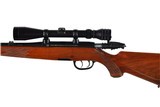 STEYR MANNLICHER L 243 WINCHESTER - 6 of 11