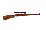 STEYR MANNLICHER L 243 WINCHESTER - 1 of 11