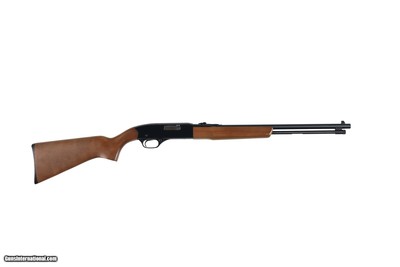 WINCHESTER 190 .22 LONG RIFLE