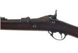 SPRINGFIELD 1884 45/70 - 6 of 10