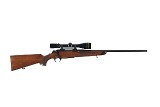 BROWNING A-BOLT 243 WIN