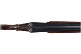PARKER BROS DHE 12 GAUGE - 7 of 13