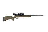 GAMO VARMINT HUNTER .22