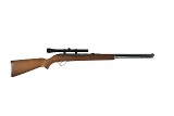 Savage Springfield 187S 22 LR