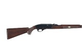 REMINGTON NYLON 66 .22 LONG RIFLE - 3 of 10
