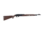 REMINGTON NYLON 66 .22 LONG RIFLE - 1 of 10