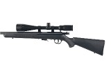 SAVAGE 93R17 .17 HMR - 4 of 10