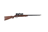 MARLIN 81 DL .22 S/L/LR - 1 of 10