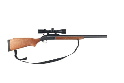 HARRINGTON & RICHARDSON ULTRA SLUG 12 GAUGE - Image 1 of 11