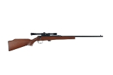REMINGTON 581 .22 S/L/LR - Image 1 of 10