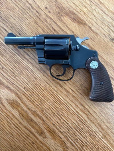 Colt - Image 1 of 14