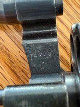 Colt - Image 14 of 14