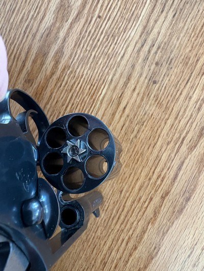 Colt - Image 11 of 14