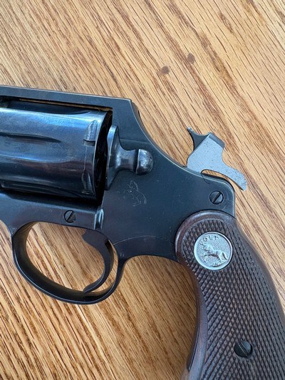 Colt - Image 12 of 14