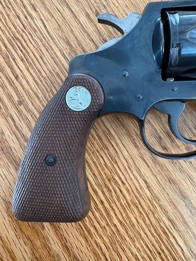 Colt - Image 8 of 14