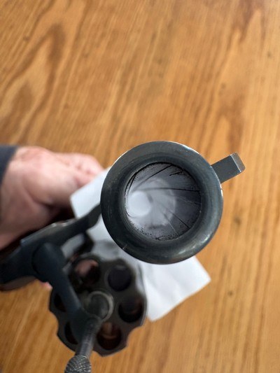 Colt - Image 10 of 14