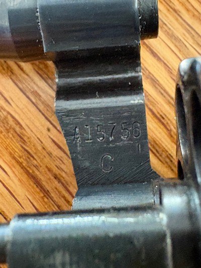 Colt - Image 14 of 14