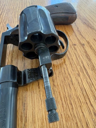 Colt - Image 9 of 14