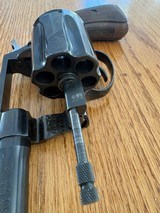 Colt - Image 9 of 14