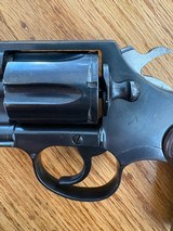 Colt - Image 4 of 14