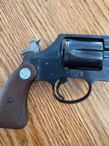 Colt - Image 13 of 14