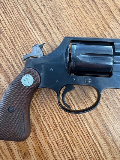 Colt - Image 13 of 14