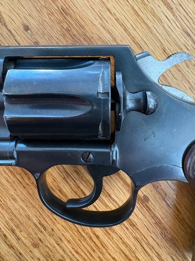 Colt - Image 4 of 14
