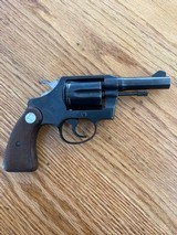 Colt - Image 2 of 14