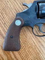 Colt - Image 8 of 14
