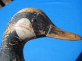 Ira Hudson Canada Goose Decoy Tack Eye Original Paint circa 1910 - 4 of 15