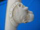 Gentleman's Cane Carved Ivory American Bulldog Handle Ebony Shaft Circa 1880's - 10 of 15