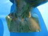 Green Verdite Shona Sculpture by Peter Chikumbirike Zimbabwe Signed - 5 of 12