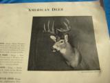 North American Big Game Official Measurement Records by Prentiss Gray Circa 1934 (Pre Boone & Crockett) - 5 of 16