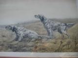 Llewellin Setters by Leon Danchin Lithograph Framed & Numbered Original Circa 1930's - 3 of 11