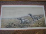 Llewellin Setters by Leon Danchin Lithograph Framed & Numbered Original Circa 1930's - 2 of 11