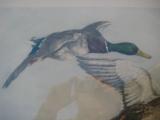Mallard Ducks by Leon Danchin Lithograph Circa 1930's Original - 5 of 11