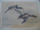 Mallard Ducks by Leon Danchin Lithograph Circa 1930's Original - 2 of 11